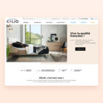 Direction Artistique et webdesign, Etude de cas du site web Meubles CELIO